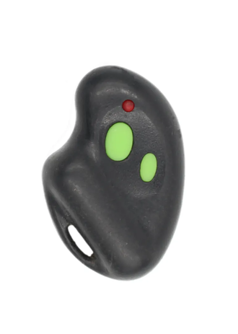 THORN TH2240 2BUTTONS Factory OEM KEY FOB Keyless Entry Remote Alarm Replace